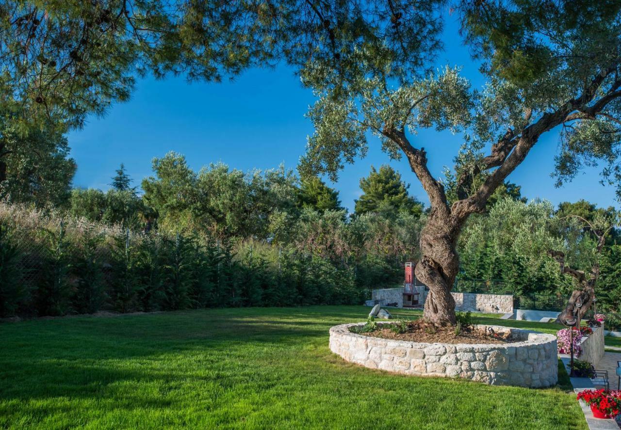 Mirabilia Boutique Hotel 3*