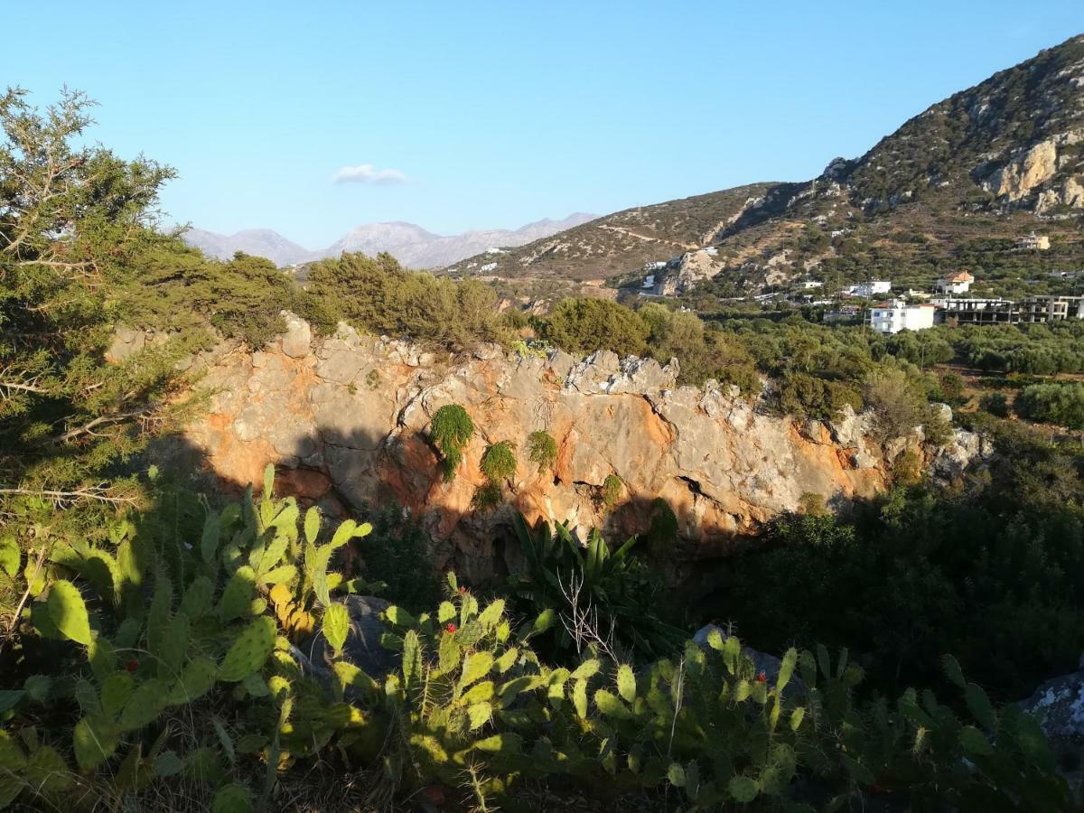 Erofili's House Apartment Kalo Chorio (Lasithi)