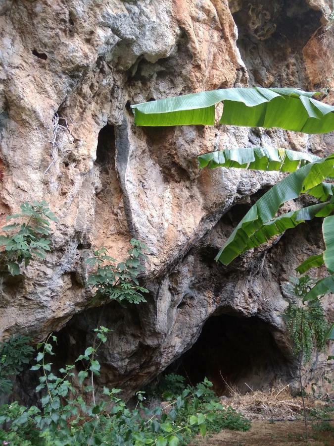 Erofili's House * Kalo Chorio (Lasithi)