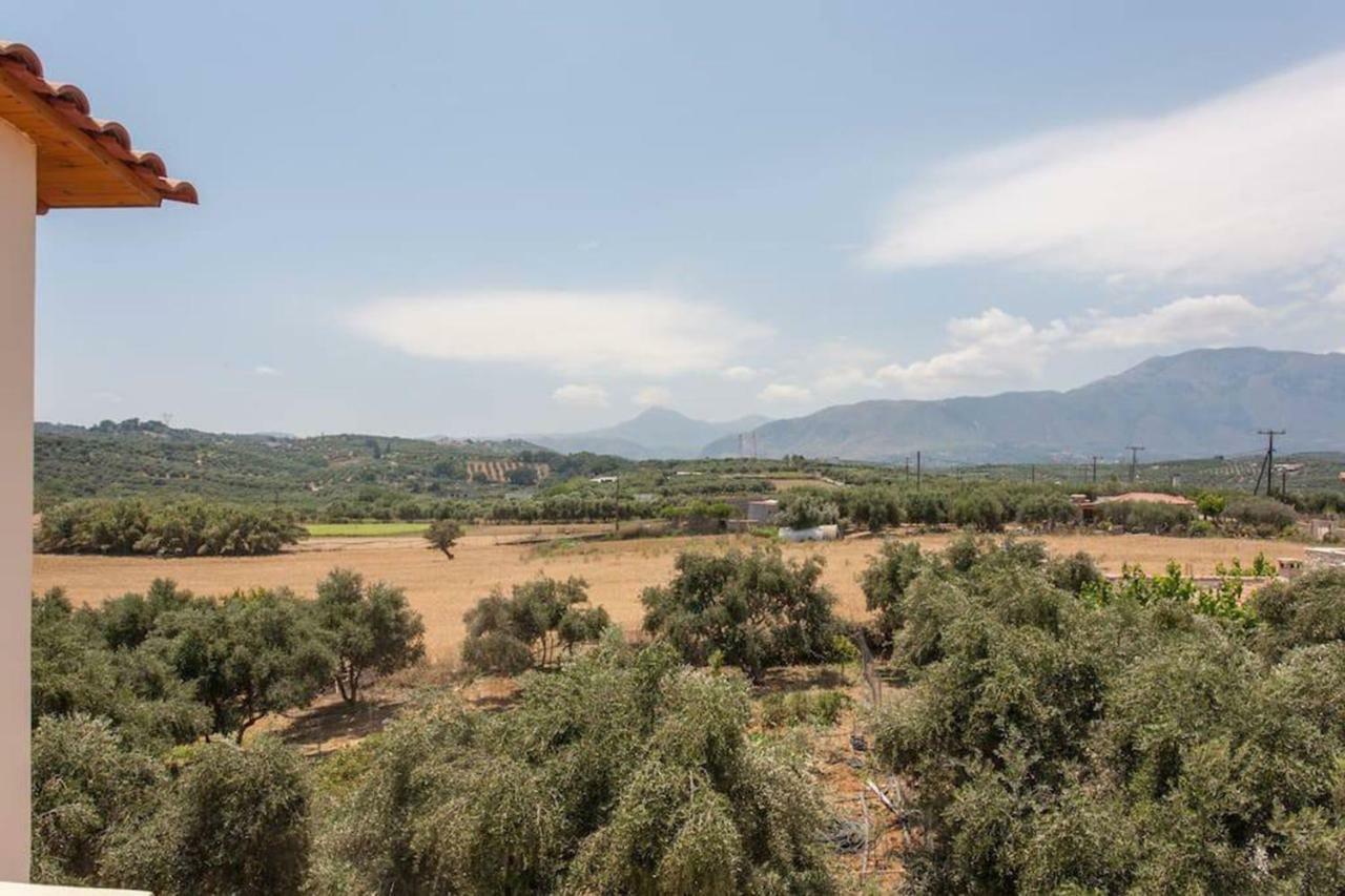Olive Tree Farm 200m From The *