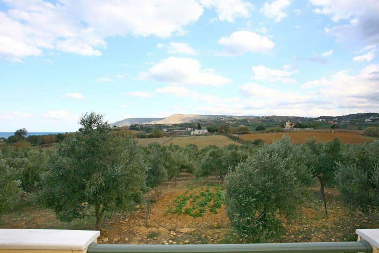 Olive Tree Farm 200m From The