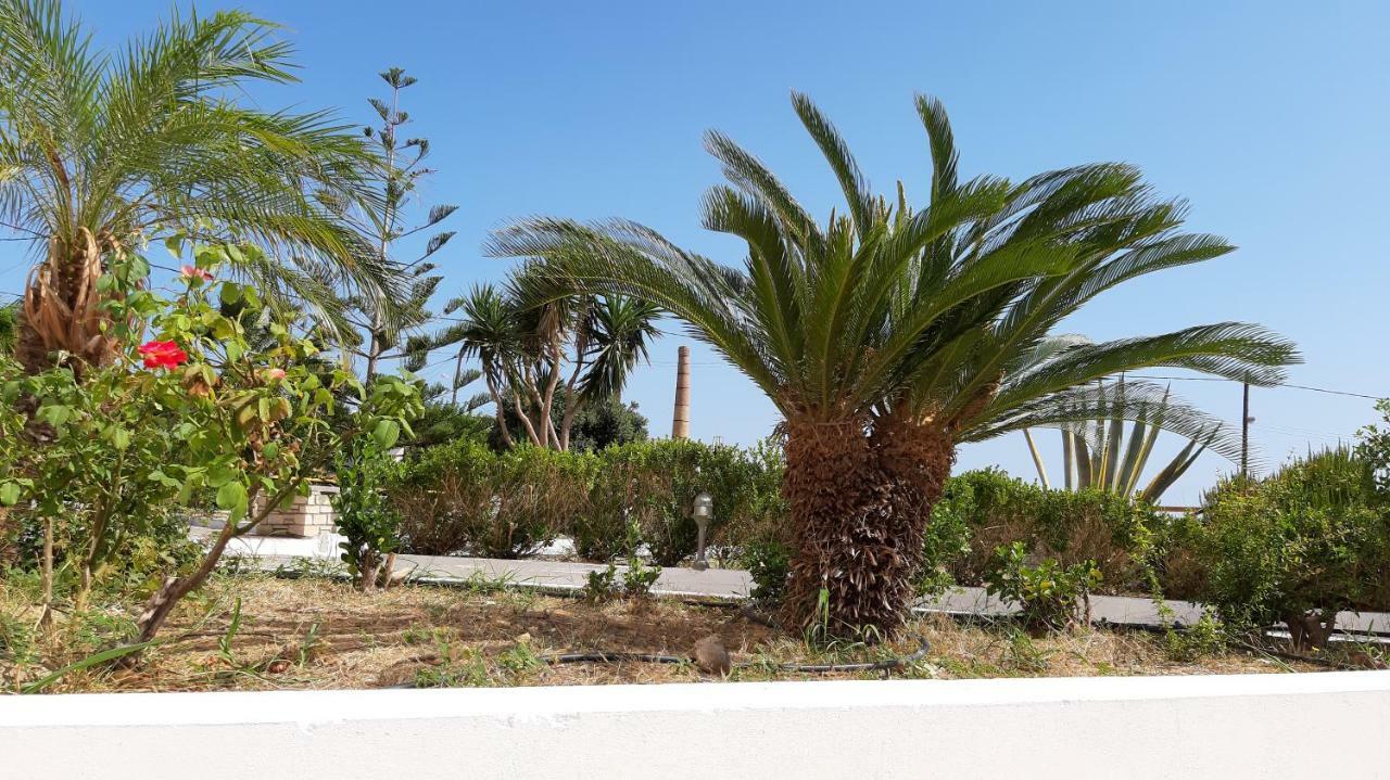 House Of Light Apartment Sitia (Crete)