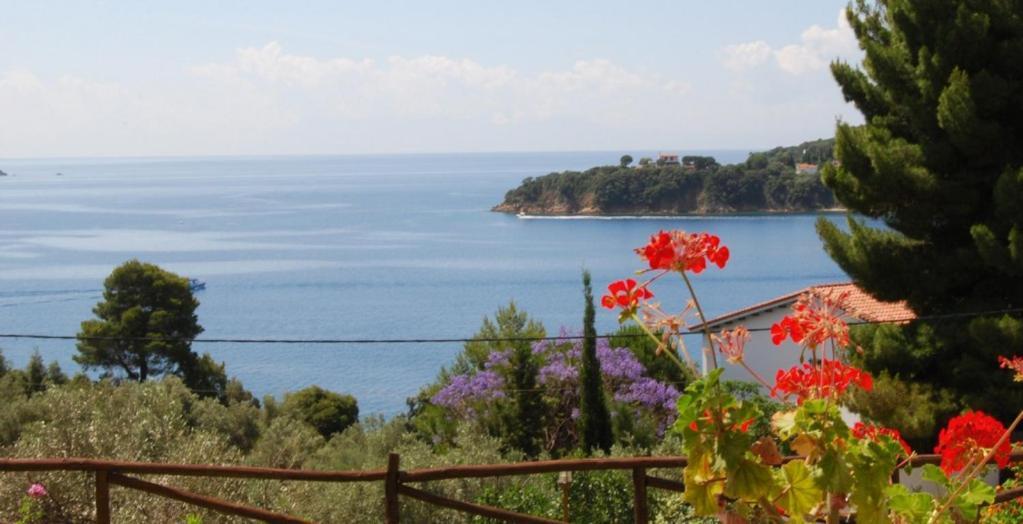 Helen's 11 Boutique Aparthotel 3*