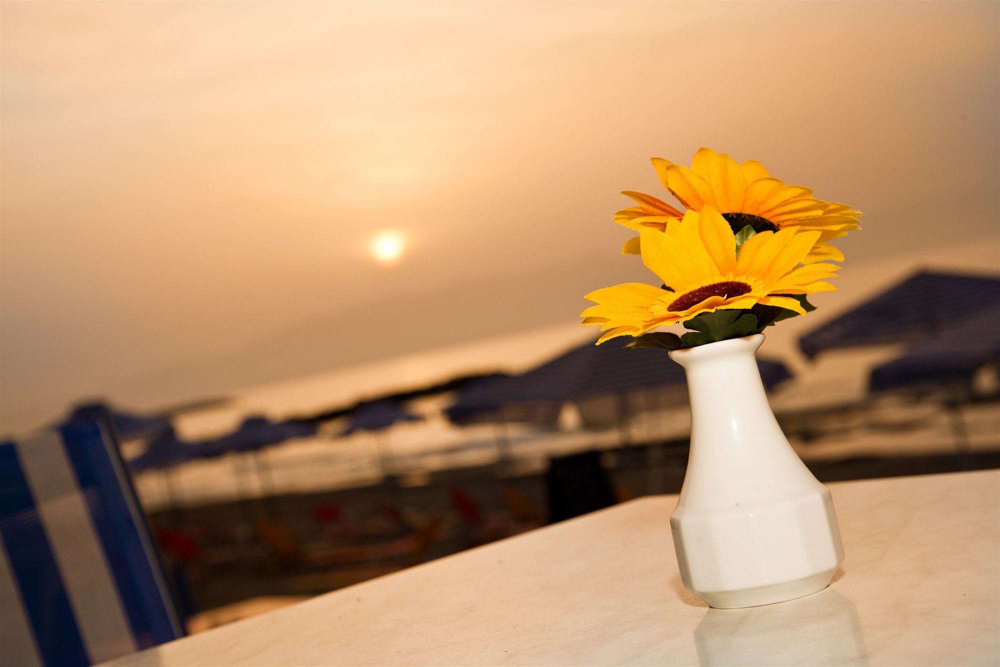 Chc Atlantida Mare Agia Marina (Crete)