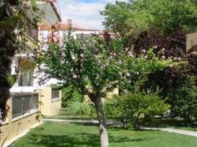 Apartment Ioli
