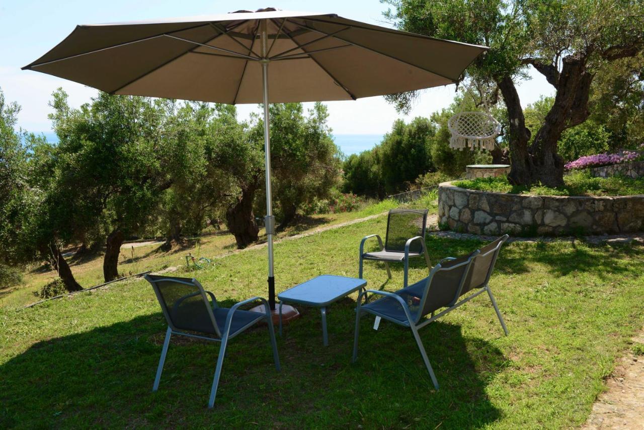 Villa Olive Stone *