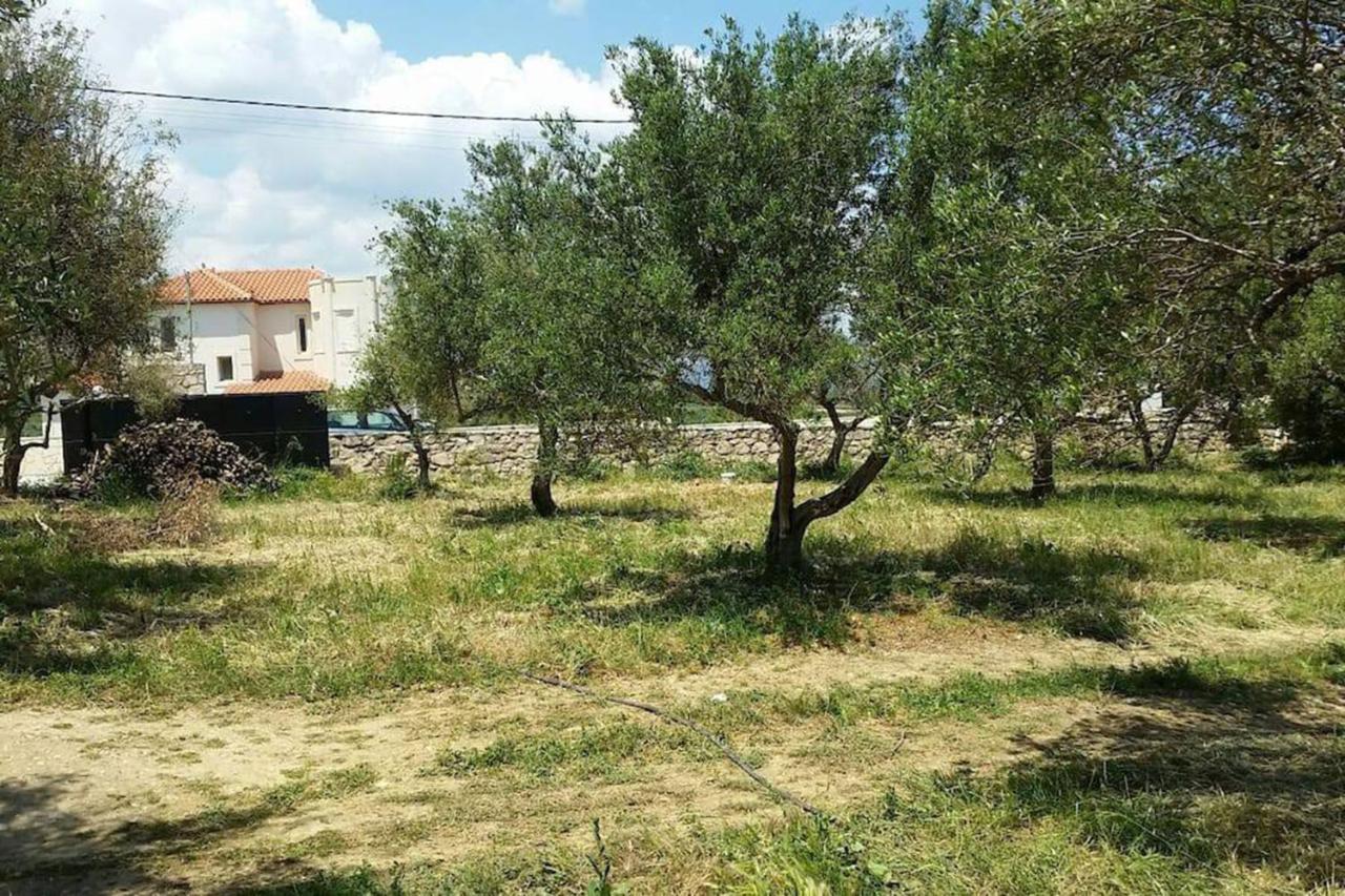 Holiday home Olive Tree Farm 200m From The Episkopi (Rethymno)