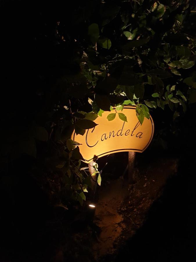 Candela Evropouloi