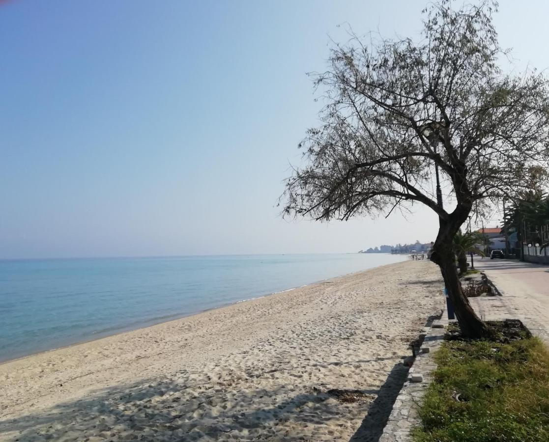 Villa Seaside View *