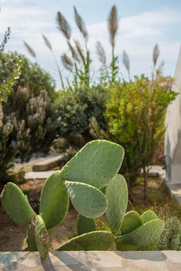 Hotel Vienoula's Garden