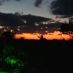 Ecoxenia