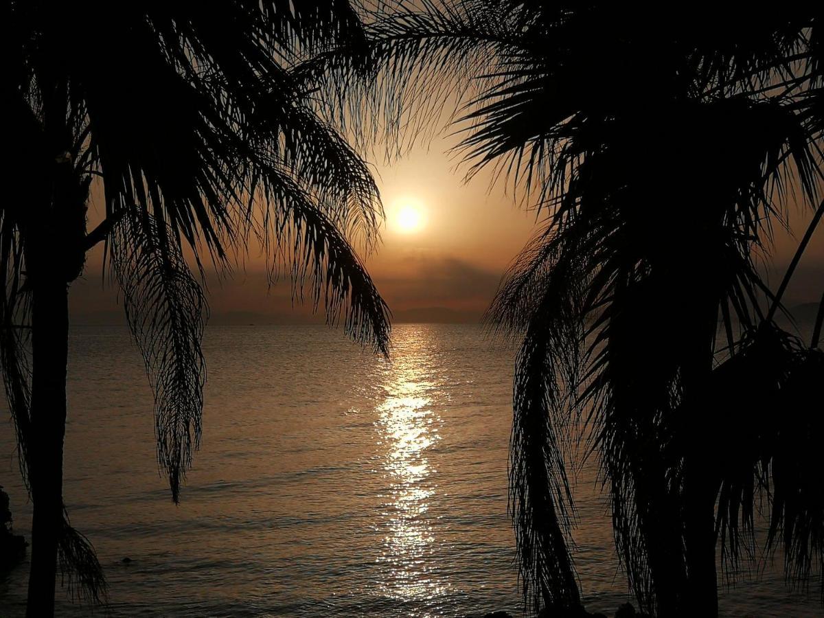 Miramare *