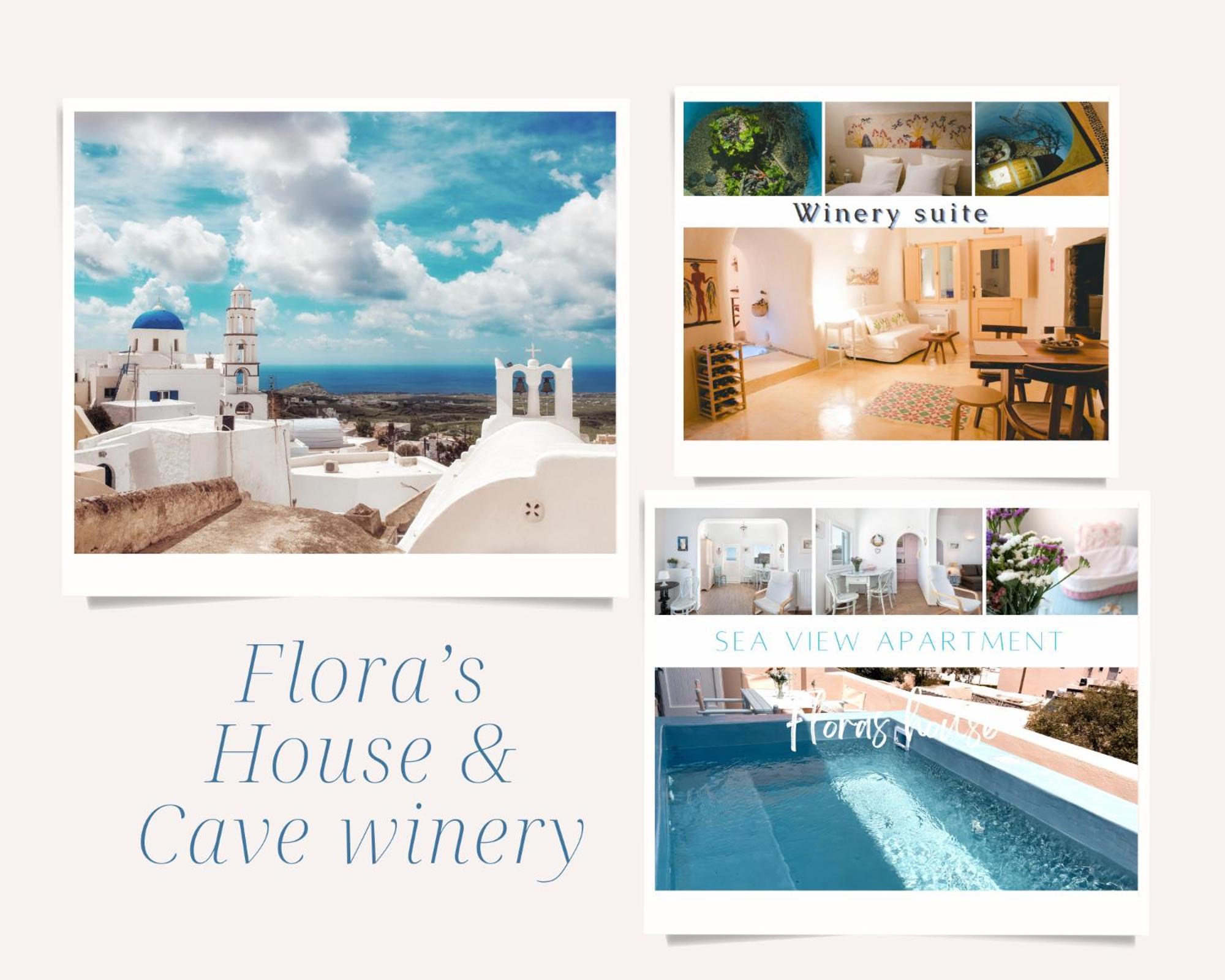 Flora's House & Cave Winery * Pyrgos Kallistis