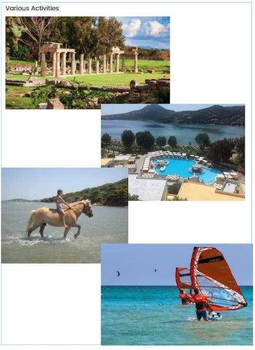 Villa Seaside With A Pool *