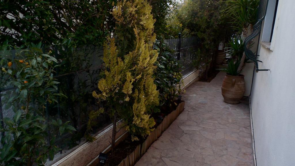 Artemis Sunrise Apartment *