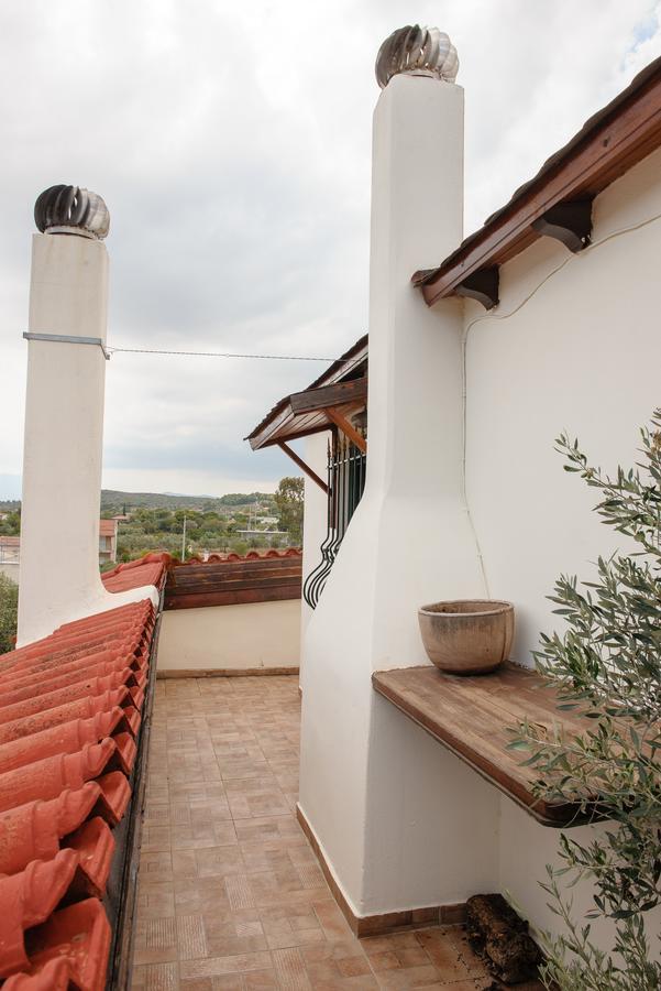 Artemis Sunrise Apartment *