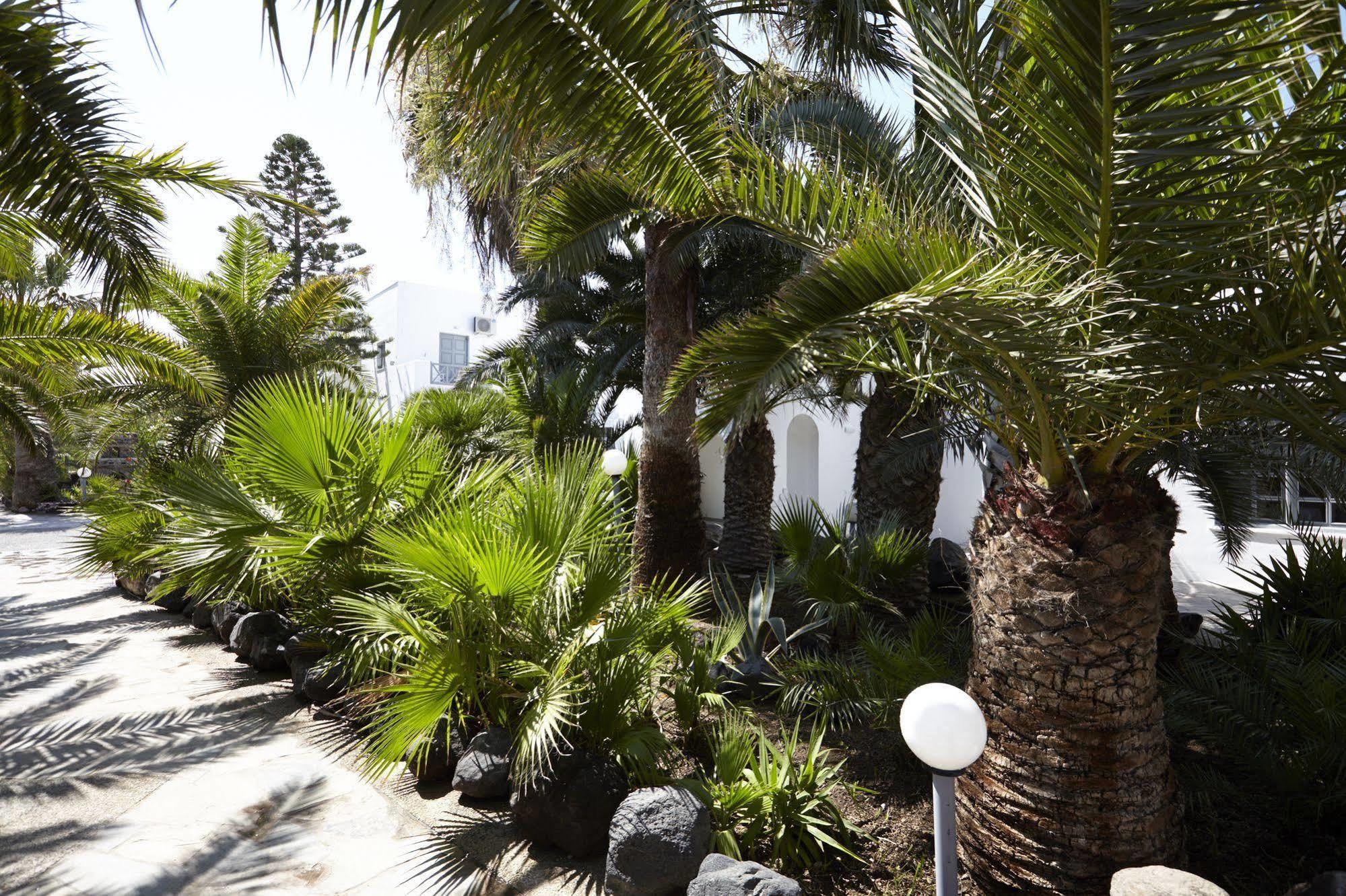 Fenix Hotel 4*