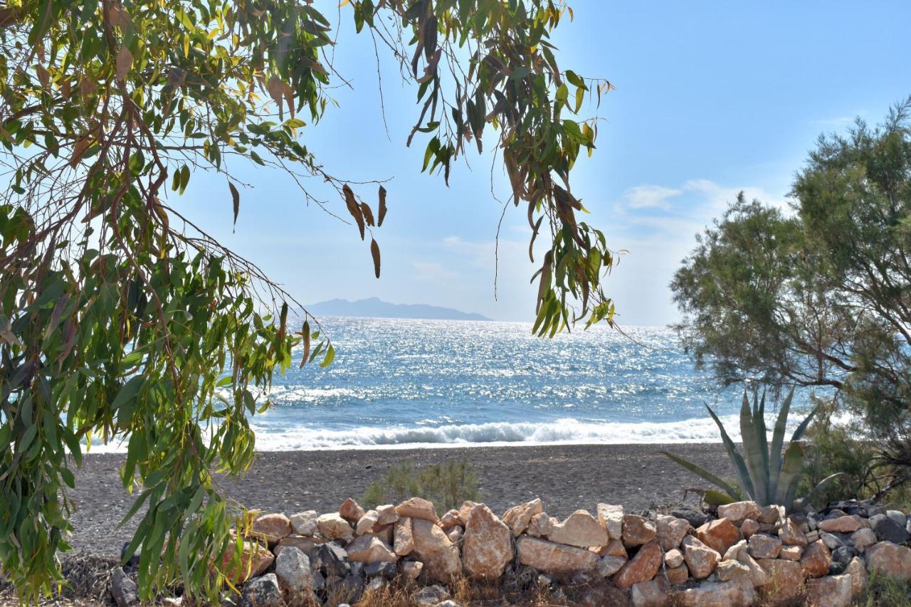 Damma Beachfront Luxury Villa *